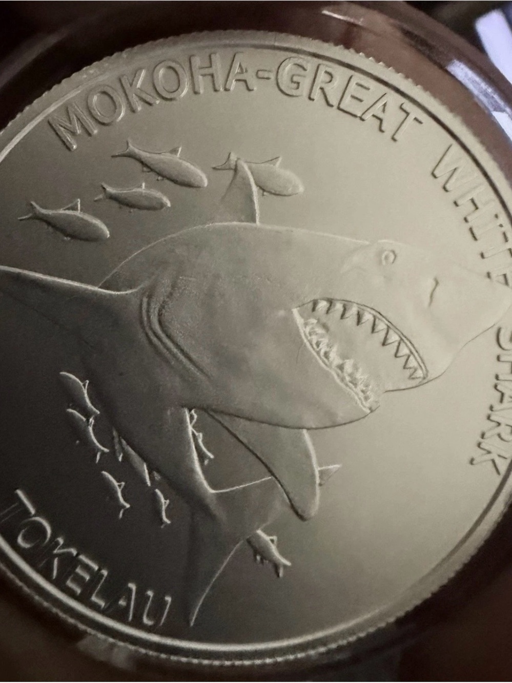 Rare 2015 Tokelau Mokoha Great White Shark  $5 Coin 1 oz. .999 Fine Silver